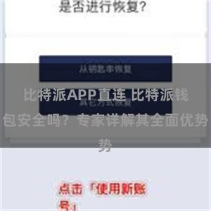 比特派APP直连 比特派钱包安全吗？专家详解其全面优势