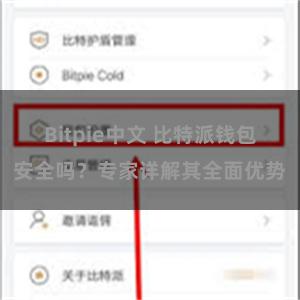 Bitpie中文 比特派钱包安全吗？专家详解其全面优势