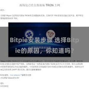 Bitpie安装步骤 选择Bitpie的原因，你知道吗？