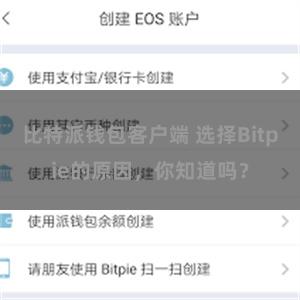 比特派钱包客户端 选择Bitpie的原因，你知道吗？