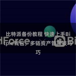 比特派备份教程 快速上手Bitpie钱包，多链资产管理技巧