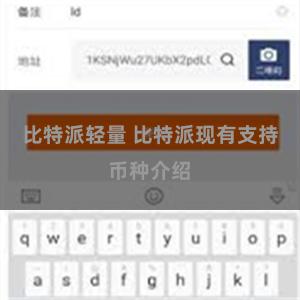 比特派轻量 比特派现有支持币种介绍
