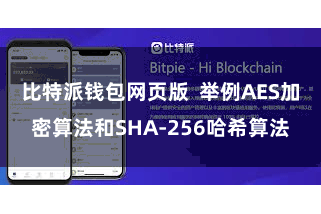 比特派钱包网页版  举例AES加密算法和SHA-256哈希算法