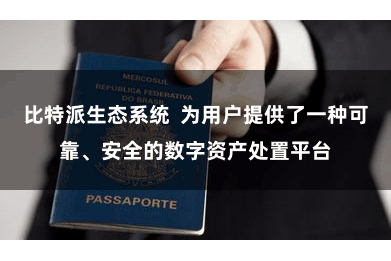 比特派生态系统  为用户提供了一种可靠、安全的数字资产处置平台