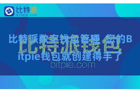 比特派数字钱包管理  您的Bitpie钱包就创建得手了