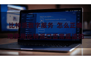 比特派数字服务  怎么正确地使用比特派口舌常蹙迫的