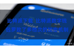 比特派下载  比特派数字钱包罗致了多档次的加密机制